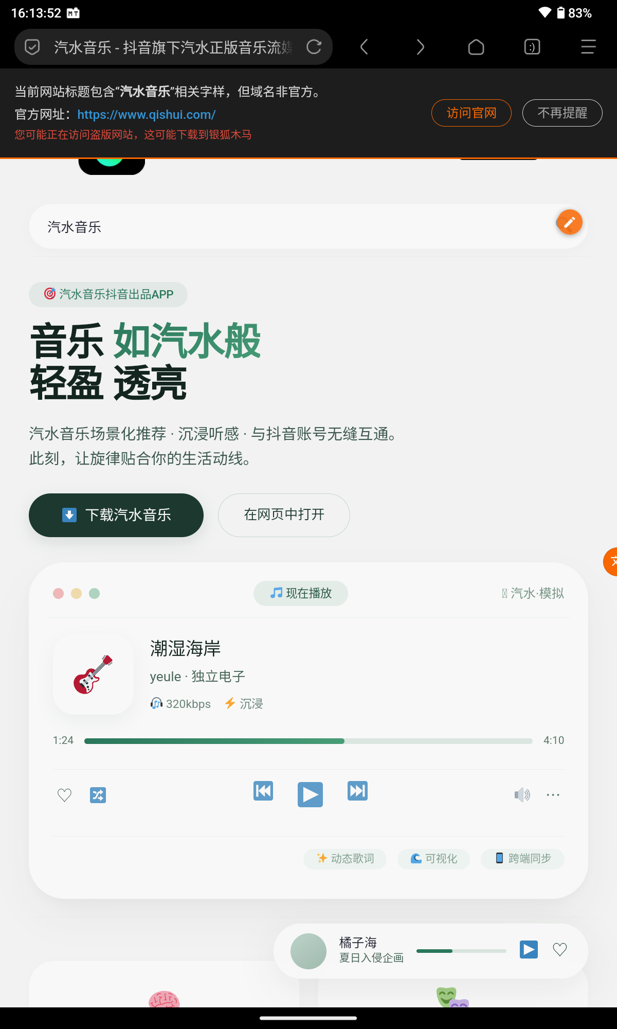 截图演示_反盗版网站